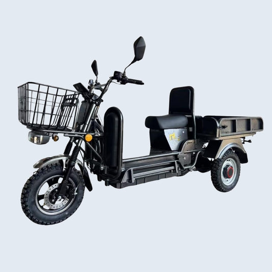 EOX E-Horse Non RTO Low Speed 3 Wheeler Electric Loader Scooter  600Kg Weight Capacity,  Portable Lithium Battery & Charger